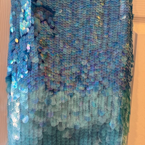 Sequin dress from Revolve - Picture 4 of 6